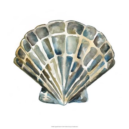 Framed Aquarelle Shells IV Print