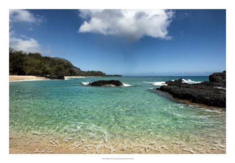 Framed Paradise Print