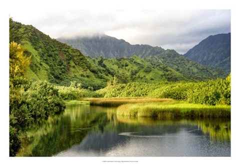Framed Coastal Marsh I Print