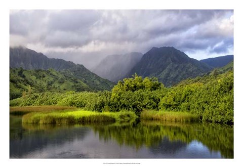 Framed Coastal Marsh IV Print