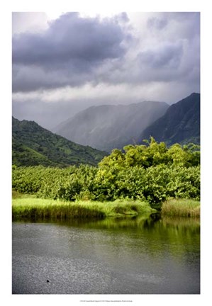 Framed Coastal Marsh Triptych III Print