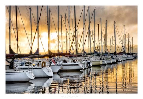 Framed Backlit Marina Print