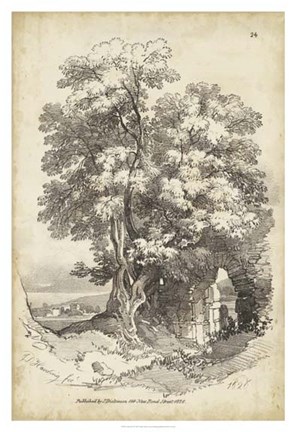 Framed Noble Tree II Print