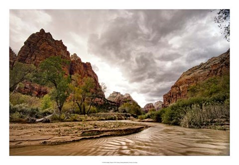 Framed Muddy Waters Print