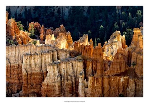 Framed Sun Bath I Print