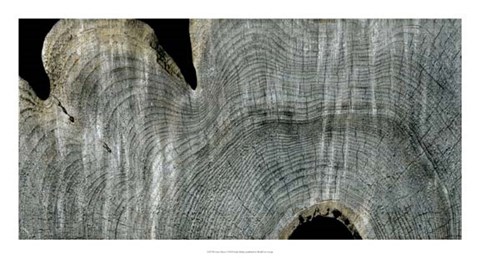 Framed Gray Ghost I Print