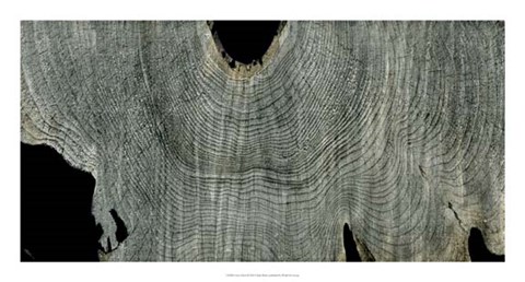 Framed Gray Ghost II Print