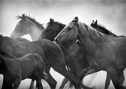 Framed Messengers Print