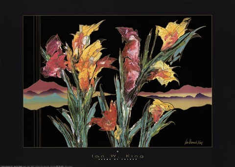 Framed Scene Of Colour Print