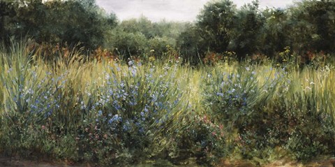 Framed Dorset Wildflowers Print