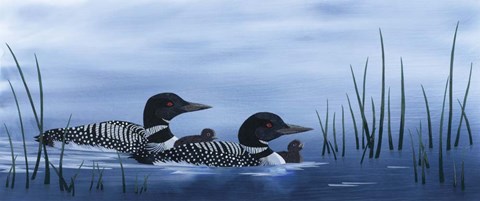 Framed Family of Loons Print