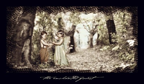 Framed Enchanted Forest Print