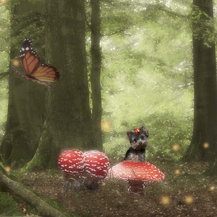 Framed Mia's Amazing Dream Charm Print