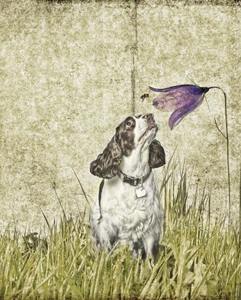 Framed Discovering Nature Print