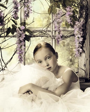 Framed Wisteria Window Print