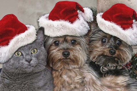 Framed Santa's Helpers Print