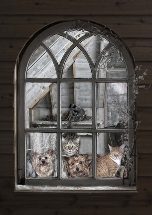 Framed Bird Watchers Print