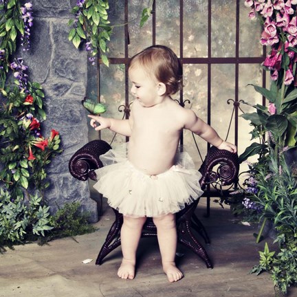 Framed Visiting Butterfly Print