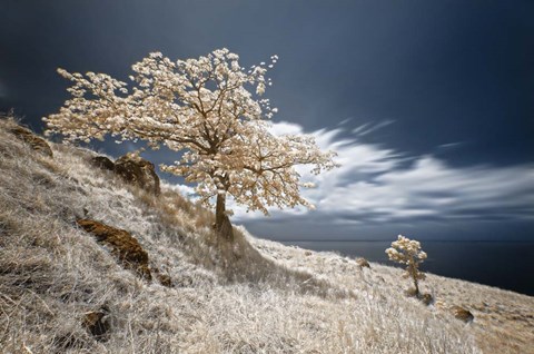 Framed Mother and Child Print