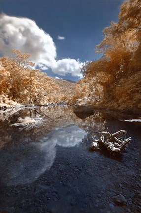 Framed Unflappable Print