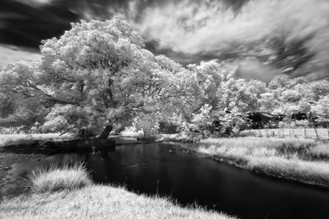 Framed Amorsolo Print