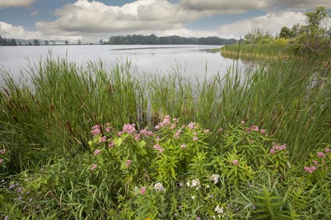 Framed St. Joseph River #2, Centreville, Michigan 10 Print