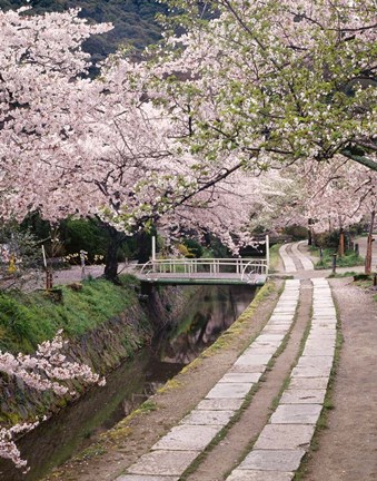 Framed Governors Walk Print