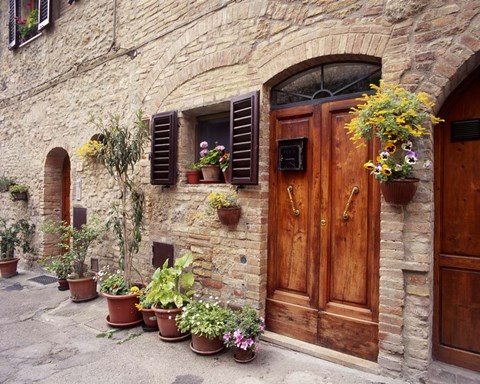 Framed Flowers On The Wall, Tuscany, Italy 06 Print