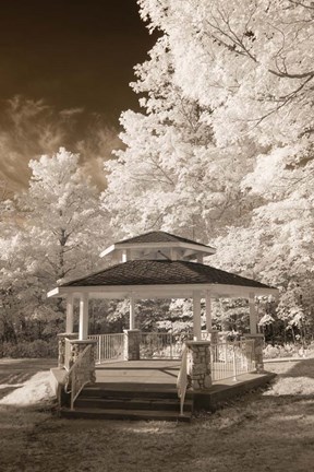Framed Gazebo Print