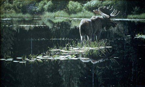 Framed Summer Pond Print