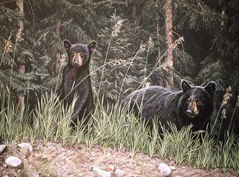 Framed Curious Cub Print