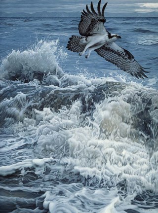 Framed Above The Breakers Print