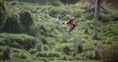 Framed Spring Flight Print