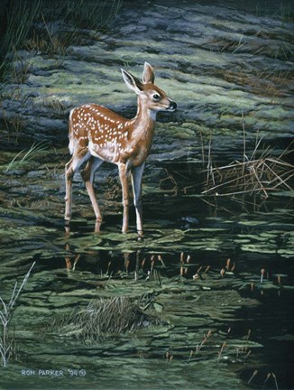 Framed Ponds Edge Print