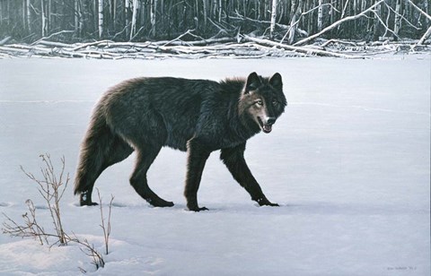 Framed Winter Morning Print