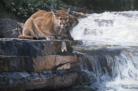 Framed Summer Creek Print