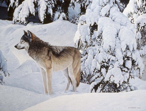 Framed Winter's Blanket Print
