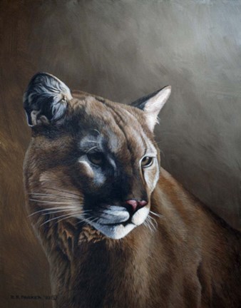 Framed Cougar Print