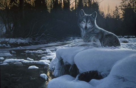 Framed Evening Solitude Print