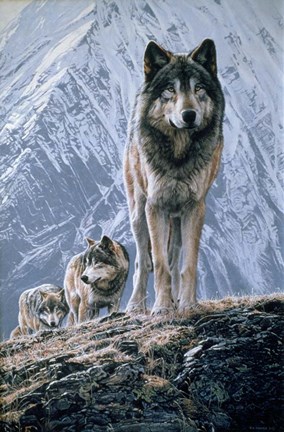 Framed Crossing The Ridge Print