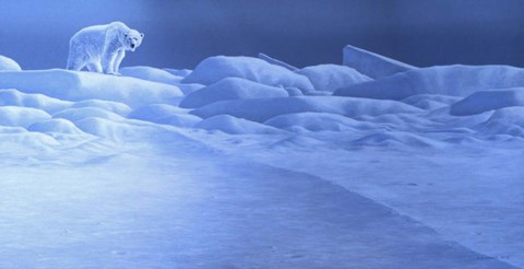 Framed Ice Palace Print