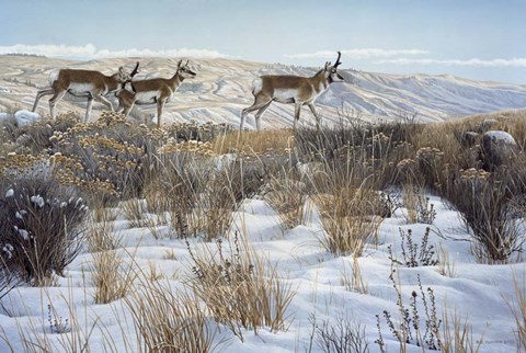 Framed Walking The Ridge Print