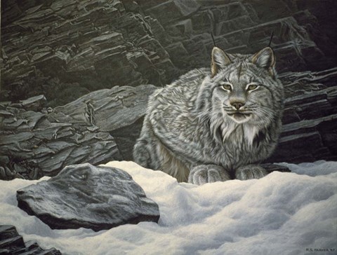 Framed Resting Spot Print