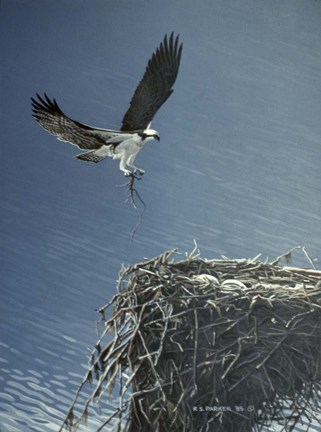 Framed Above The Lake Print