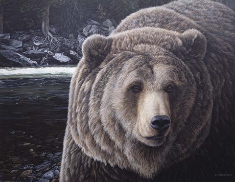 Framed By The Falls Print