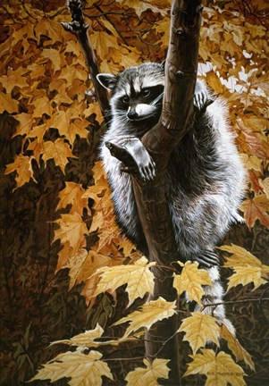 Framed Up A Tree Print