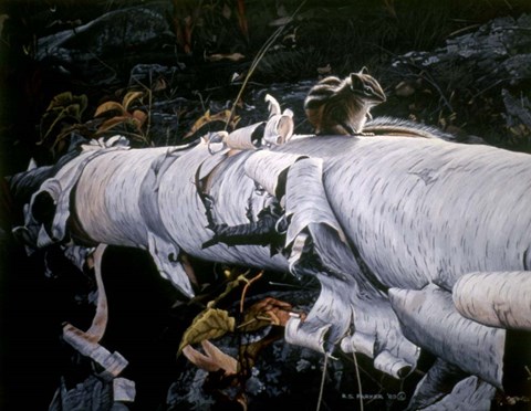 Framed Birch Log Print