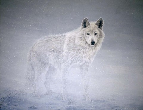 Framed Arctic Winds Print