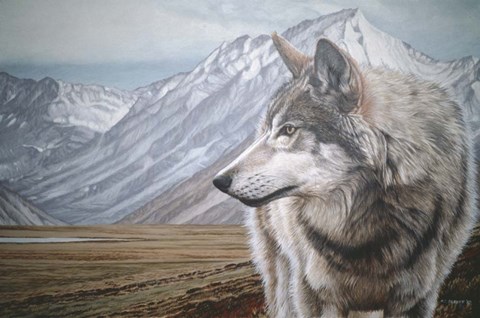 Framed Distant Mountains Print