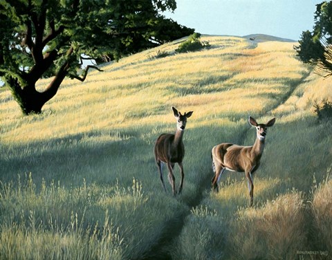 Framed Under The Oak Print